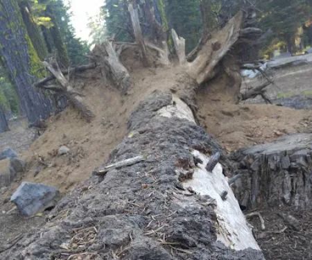 Cole Creek Campground