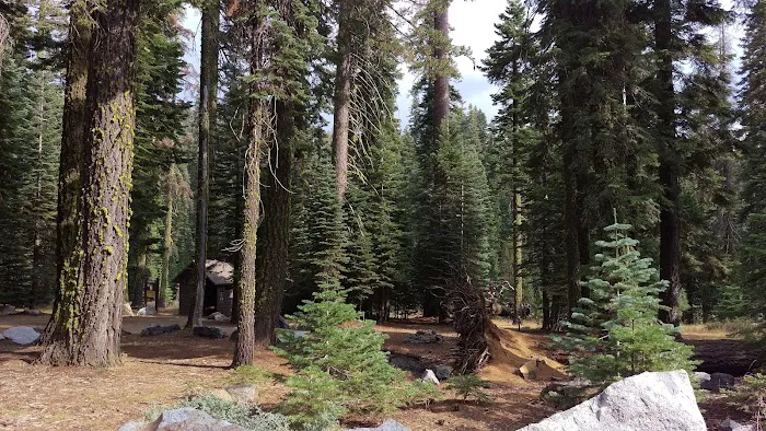 Cole Creek Campground Picture 6