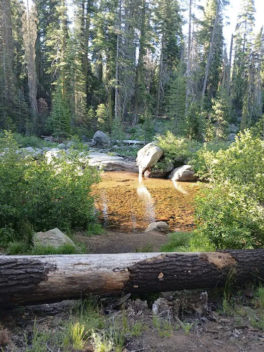 Cole Creek Campground Picture 10