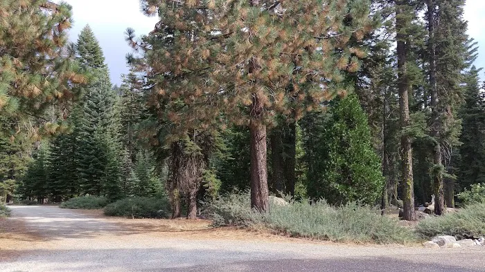Cole Creek Campground Picture 4