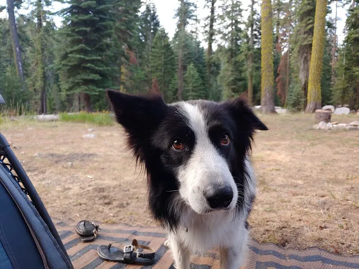 Cole Creek Campground Picture 5