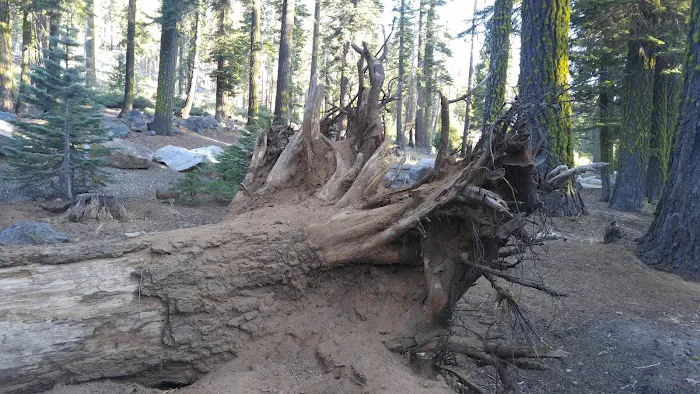 Cole Creek Campground Picture 3