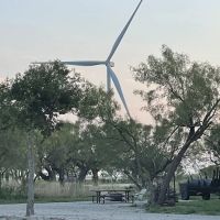Mesquite Hallow ico
