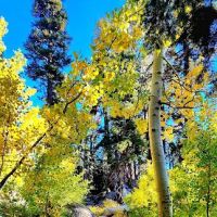 Luther Campground ico