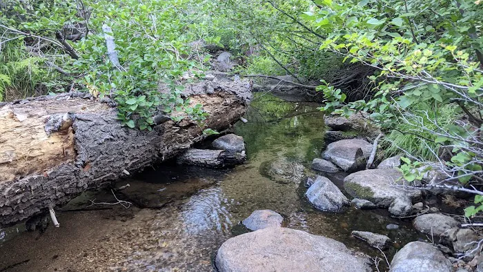 Luther Campground Picture 9
