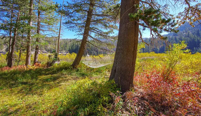 Woods Lake Campground Picture 4