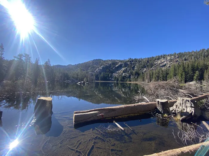 Woods Lake Campground Picture 9