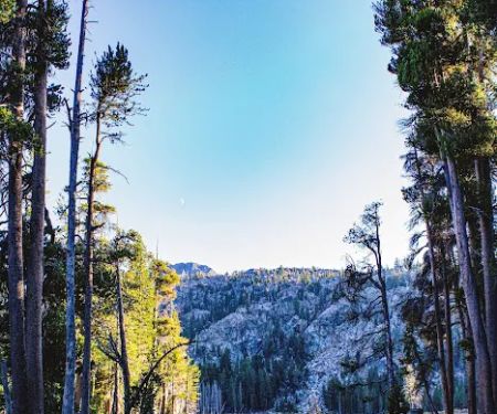 Woods Lake Campground