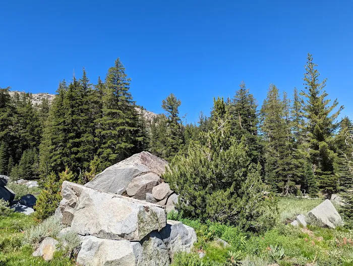 Woods Lake Campground Picture 5