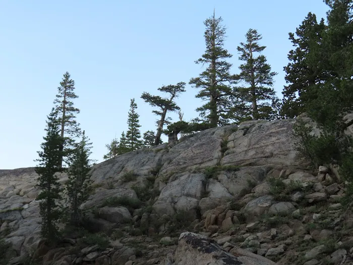 Woods Lake Campground Picture 3