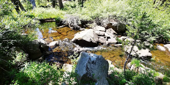 Woods Lake Campground Picture 8