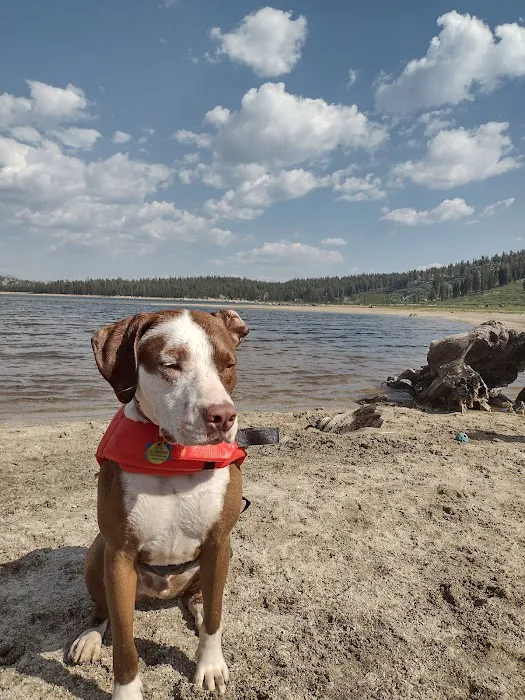 Upper Blue Lake Campground Picture 6