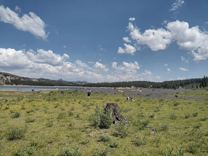Upper Blue Lake Campground Picture 5