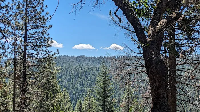 Pipi Campground Picture 8