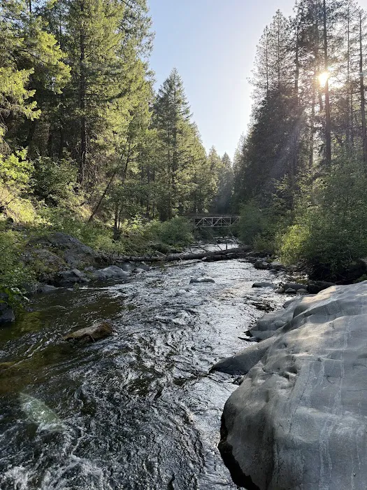 Pipi Campground Picture 6
