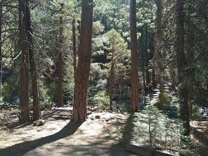 Pipi Campground Picture 7