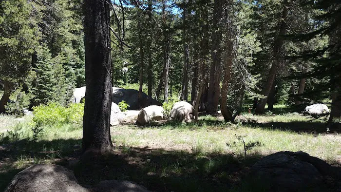 Damsite Campground Picture 2