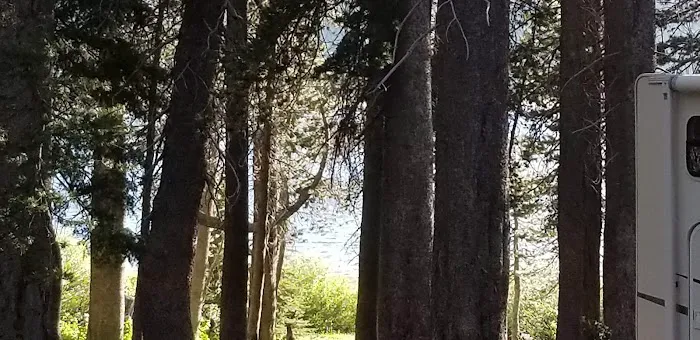 Damsite Campground Picture 4