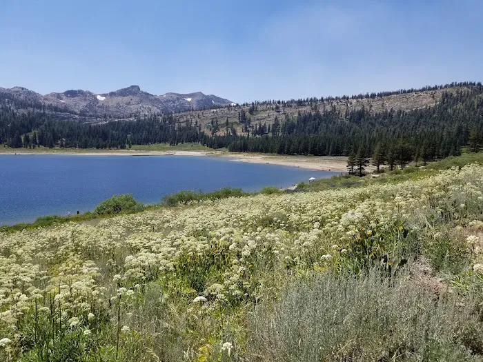 Middle Creek Campground Picture 8