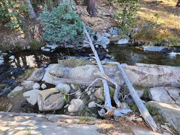 Middle Creek Campground Picture 10