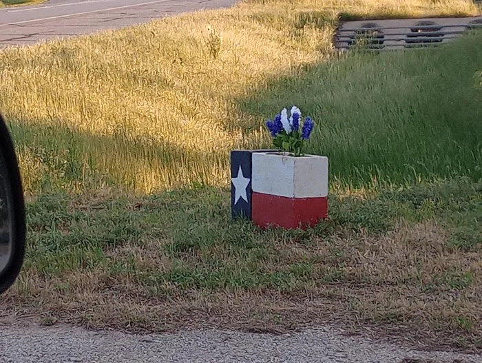 LoneStar PecanShell RV Ranch and Camp Picture 8