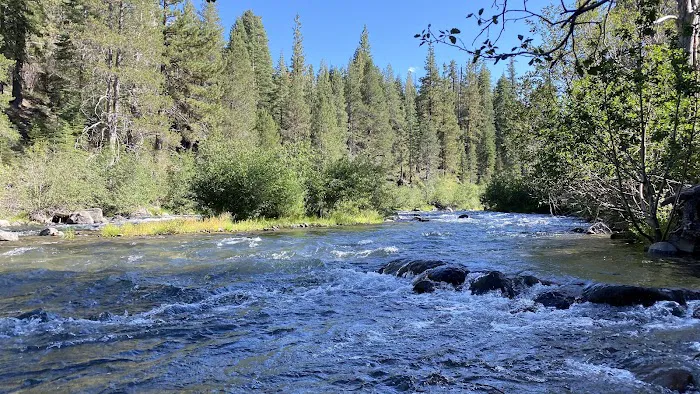 Goose Meadow Campground Picture 8