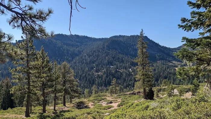 Goose Meadow Campground Picture 3