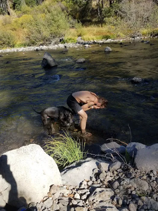 Goose Meadow Campground Picture 9