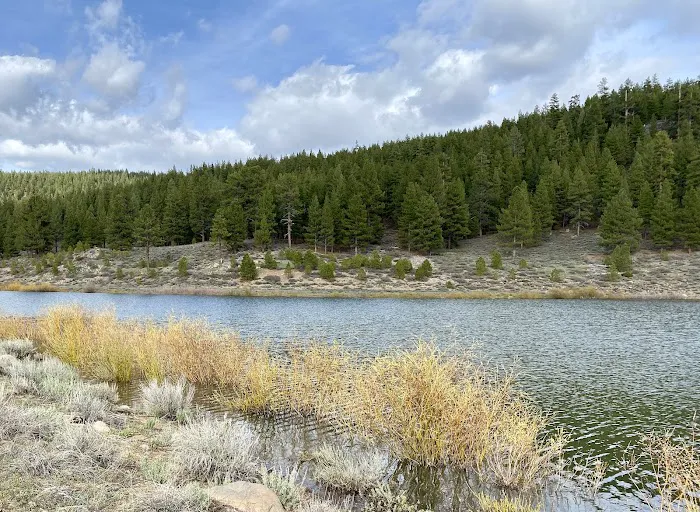 Martis Creek Dam Picture 2