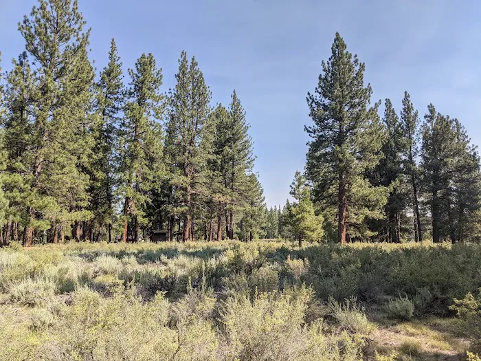 Alpine Meadow Campground Picture 10
