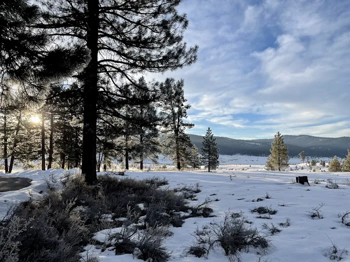 Alpine Meadow Campground Picture 4