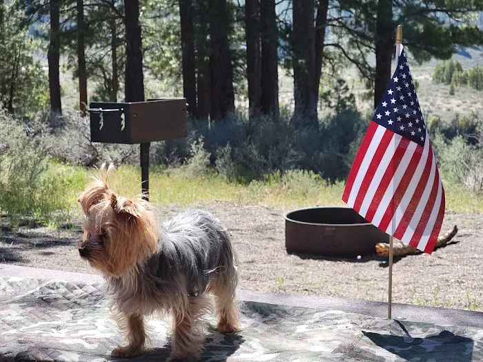 Alpine Meadow Campground Picture 9