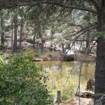 Kit Carson Campground