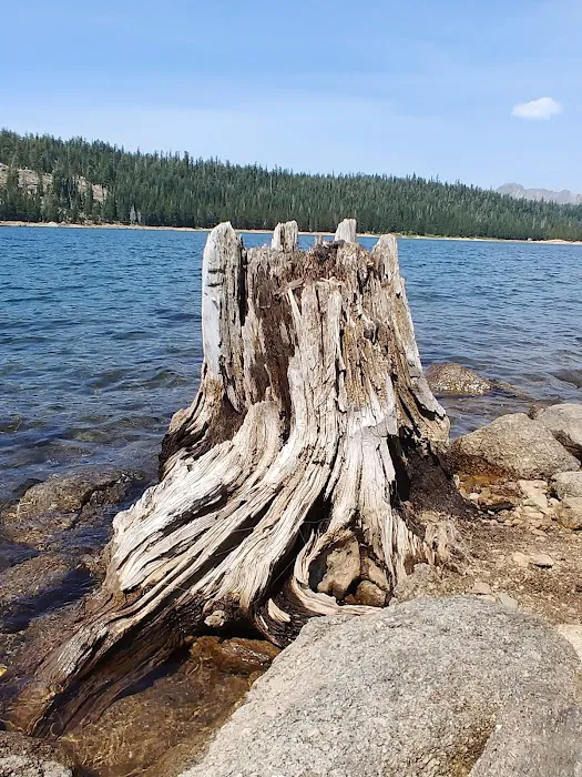 Lower Blue Lake Campground Picture 9
