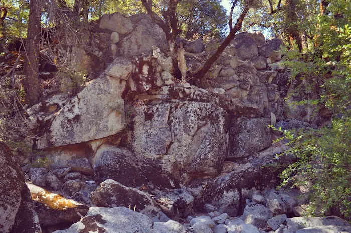 White Azalea Campground Picture 2