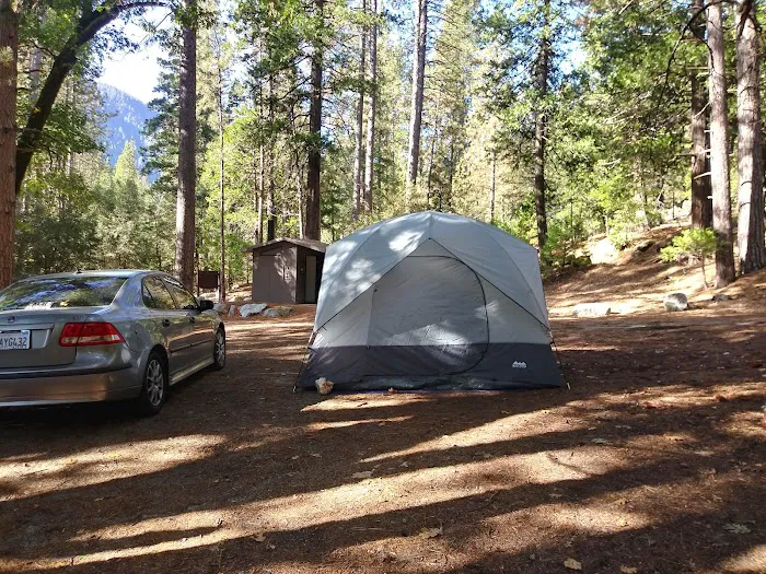 White Azalea Campground Picture 9