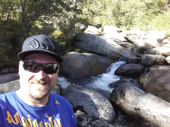 White Azalea Campground Picture 4