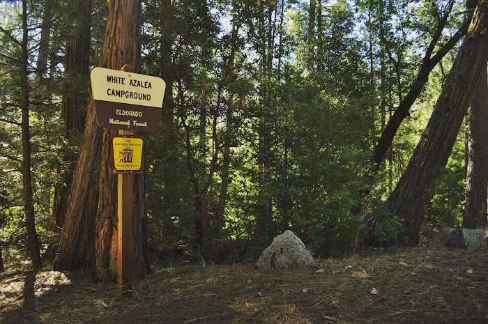 White Azalea Campground Picture 3