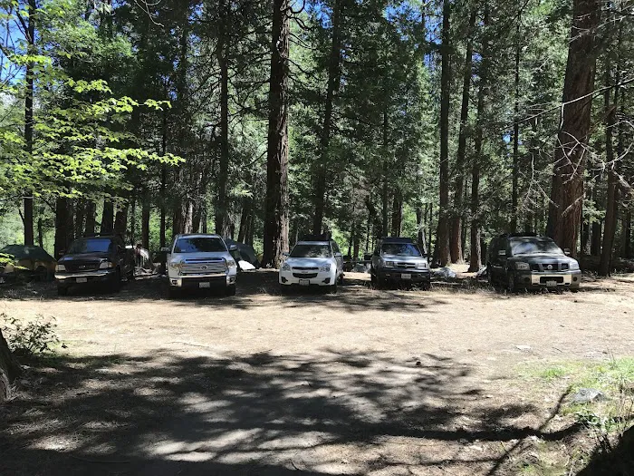 Moore Creek Campground Picture 2