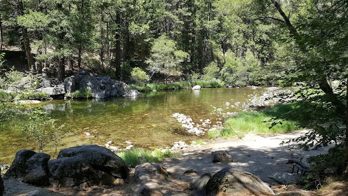 Moore Creek Campground Picture 9