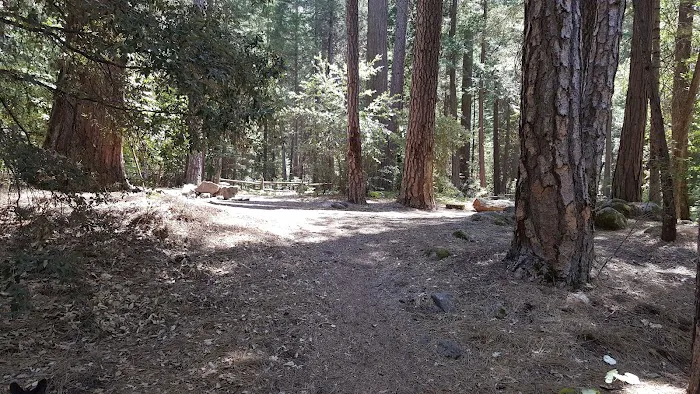 Moore Creek Campground Picture 5