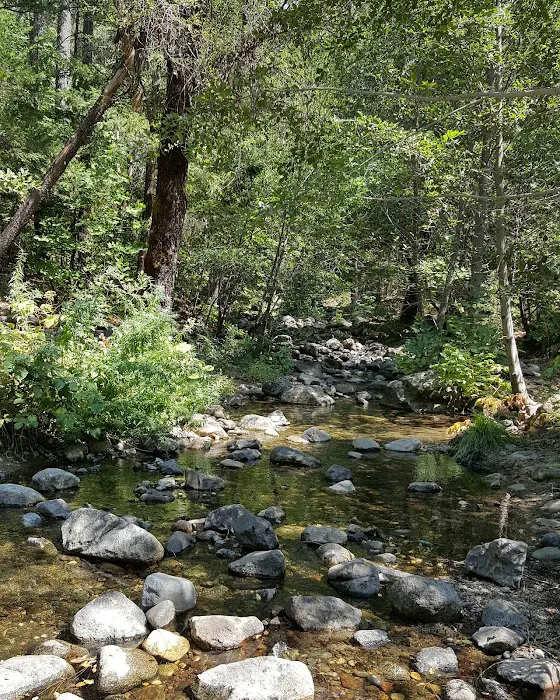 Moore Creek Campground Picture 10