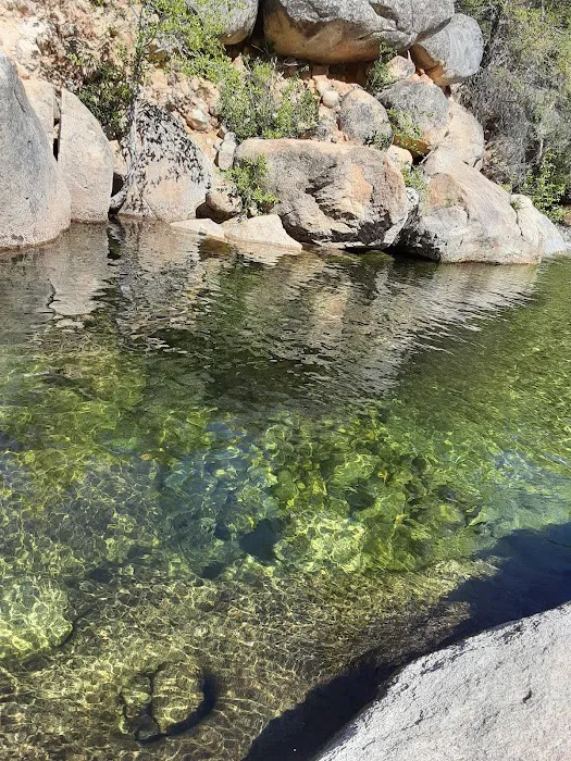 Mokelumne River Campground Picture 5
