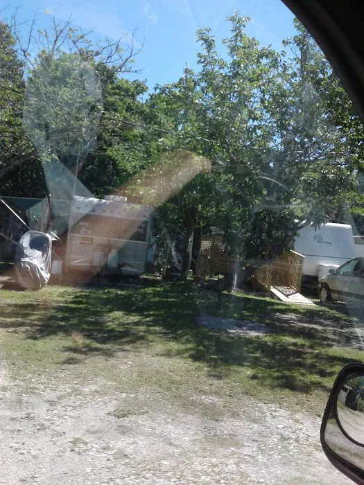 Palm Court RV Park Picture 3