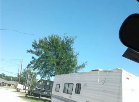 Palm Court RV Park