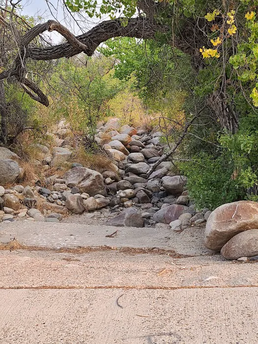 Tillie Creek Campground Picture 5