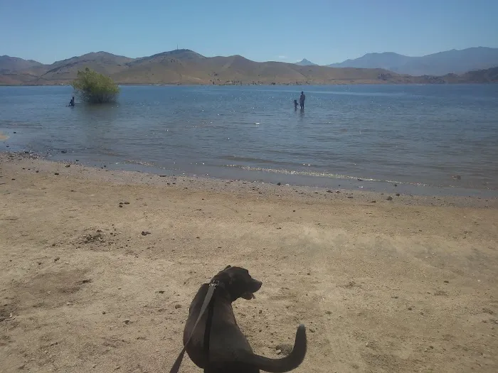 Tillie Creek Campground Picture 6