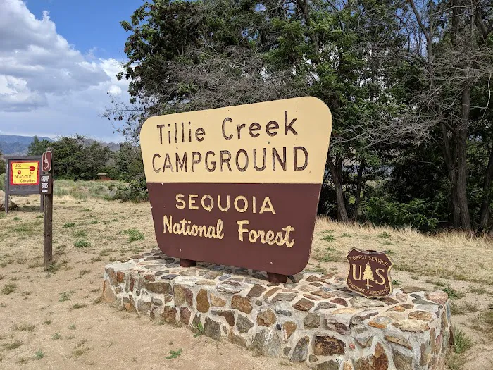 Tillie Creek Campground Picture 9