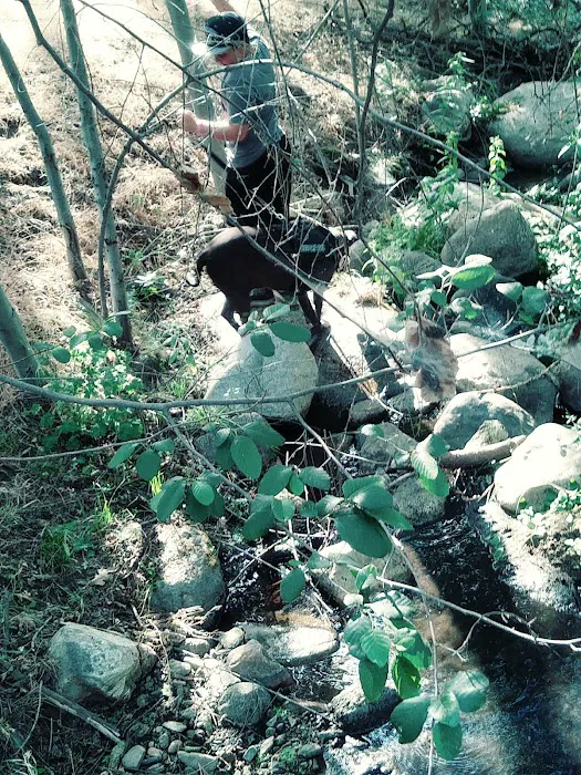 Alder Creek Campground Picture 9