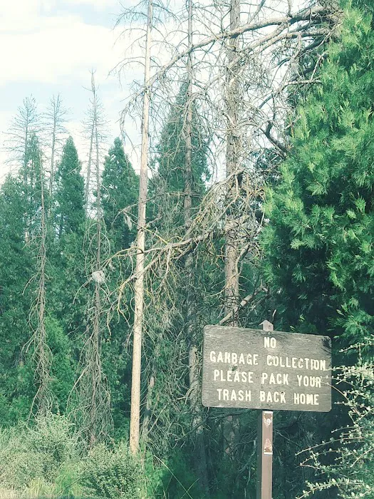 Alder Creek Campground Picture 10